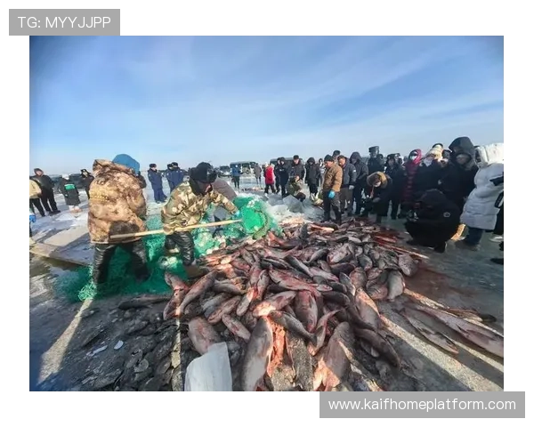 K8捕鱼下载官方渠道推荐，轻松体验高清画质的海底捕鱼乐趣