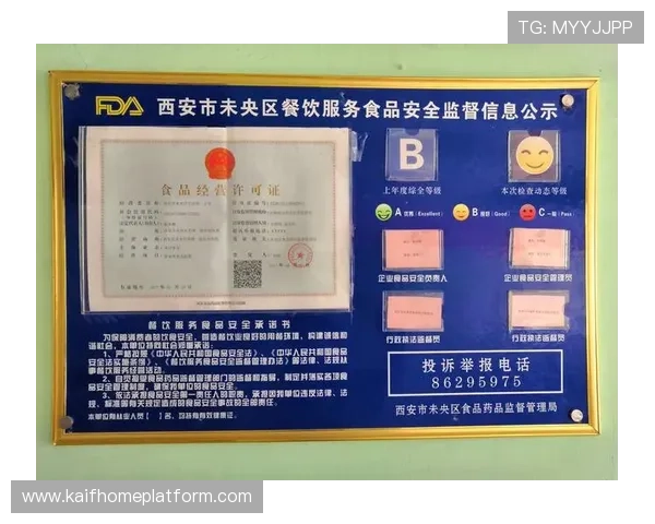 天生凯发官网安全保障措施，保障玩家账号信息与资金安全的全面措施